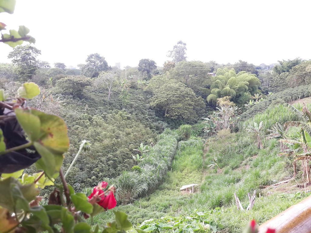 Calarcá Finca El Diamanteヴィラ エクステリア 写真