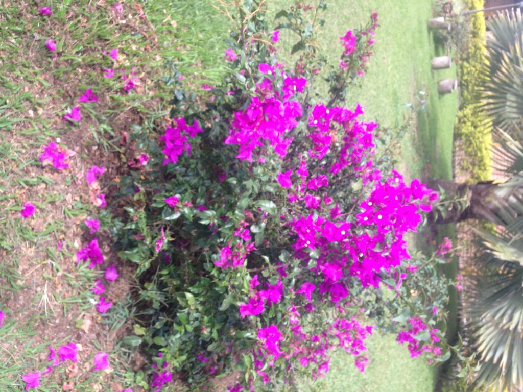 Calarcá Finca El Diamanteヴィラ エクステリア 写真