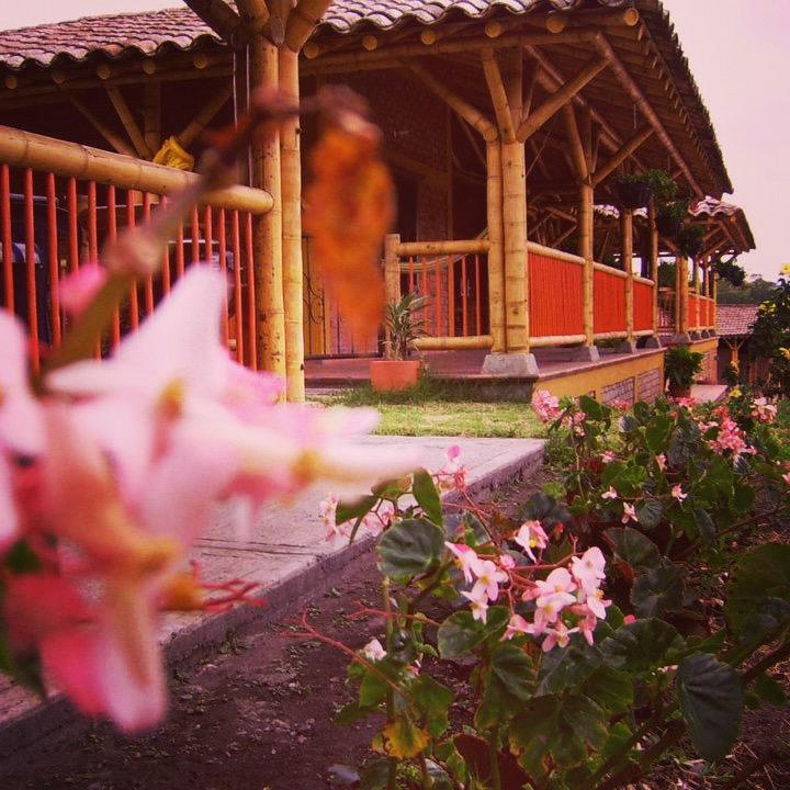 Calarcá Finca El Diamanteヴィラ エクステリア 写真