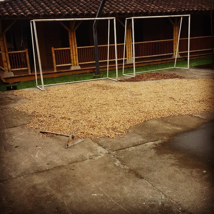 Calarcá Finca El Diamanteヴィラ エクステリア 写真