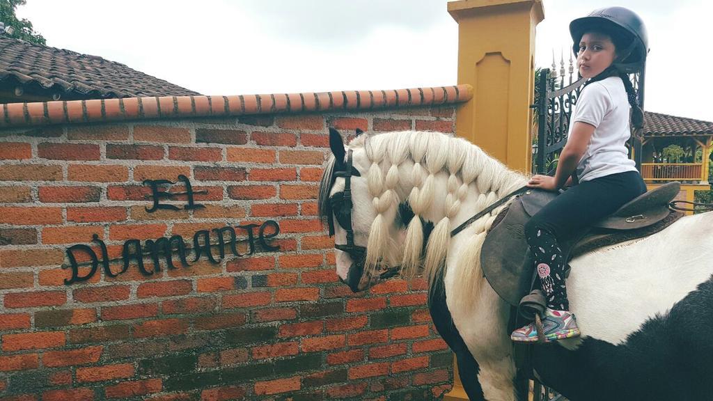 Calarcá Finca El Diamanteヴィラ エクステリア 写真