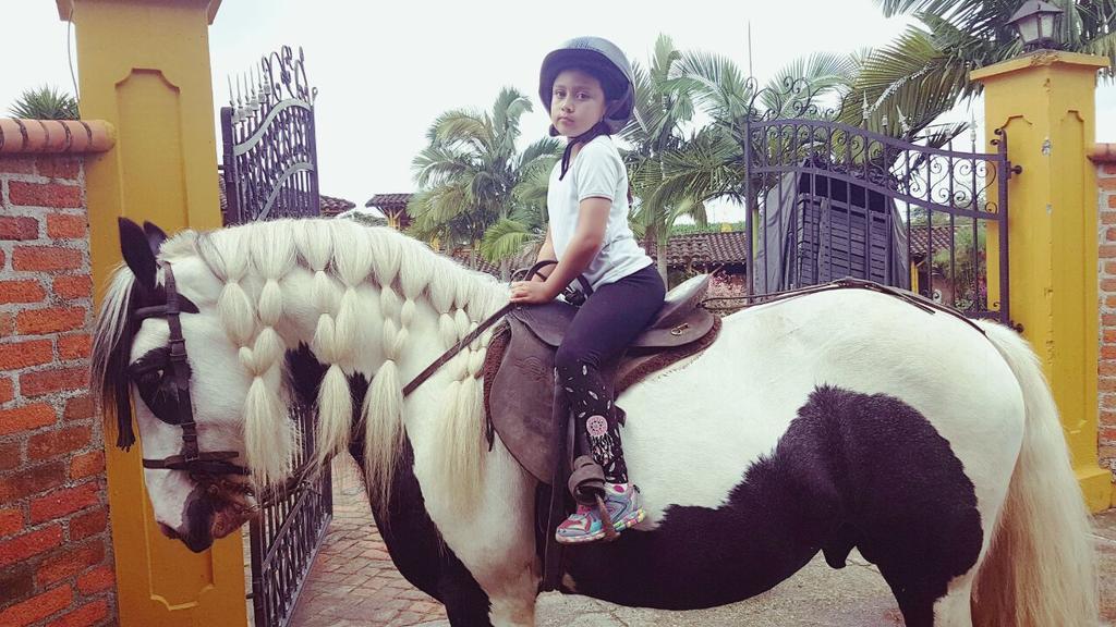 Calarcá Finca El Diamanteヴィラ エクステリア 写真
