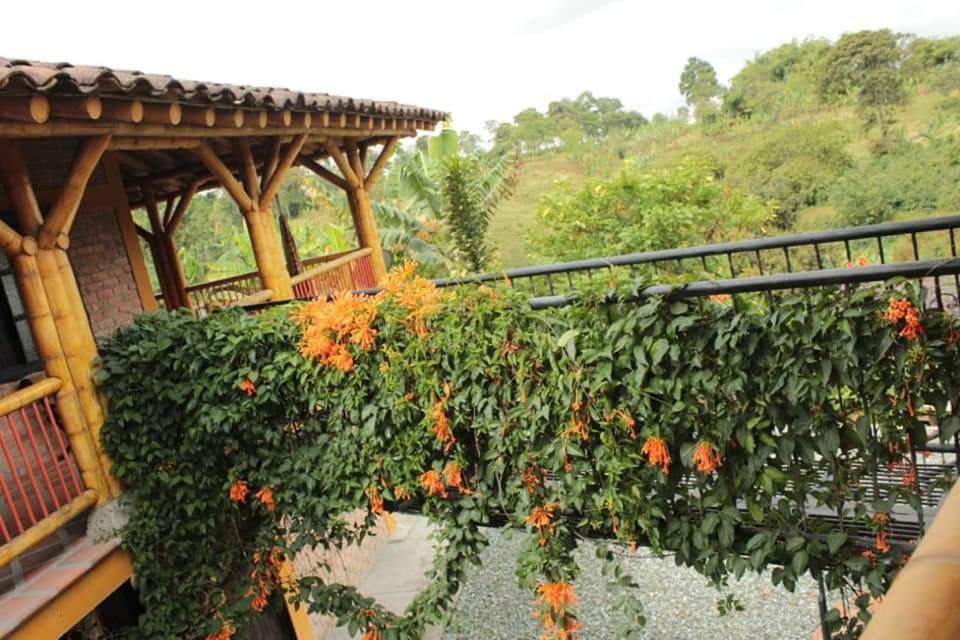 Calarcá Finca El Diamanteヴィラ エクステリア 写真