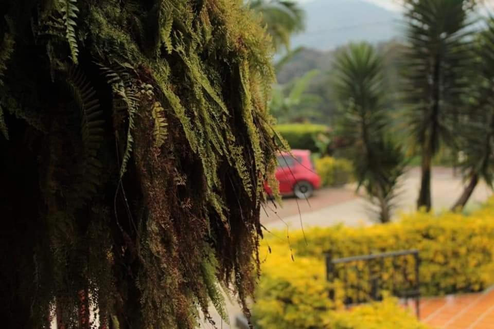Calarcá Finca El Diamanteヴィラ エクステリア 写真